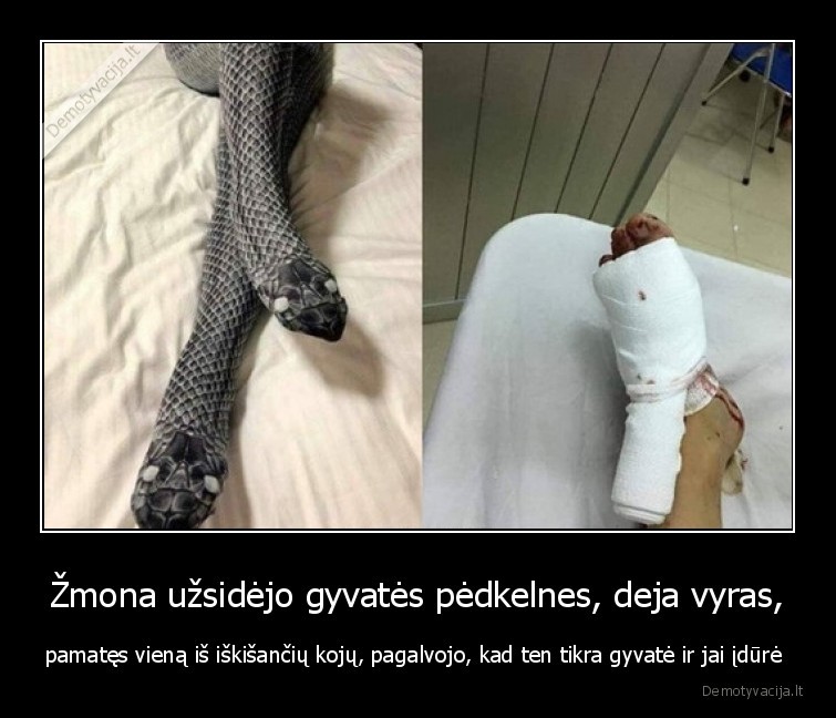 gyvate,zmona,vyras,pedkelnes