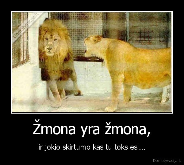 Žmona yra žmona,
