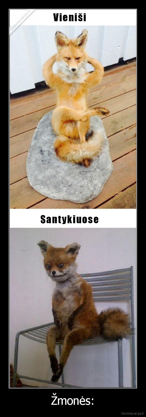 zmones,vienisi,santykiai