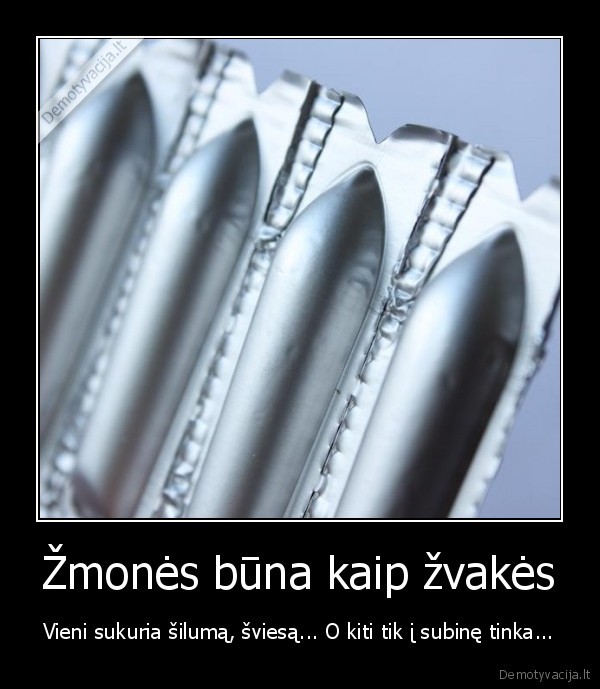 zvakes,hemorojaus, zvakutes,zmoniu, skirtumai