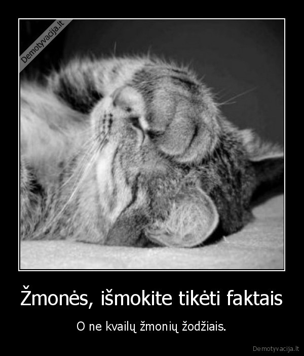 tiketi,zmones,zodziai,faktai