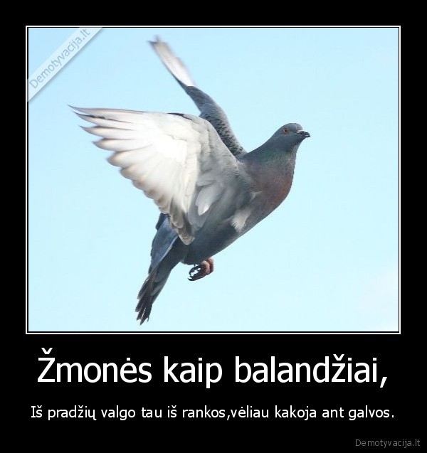 kakoja,zmones,balandziai,savanaudiskumas,kerstas,paslaptys,ranka,valgo