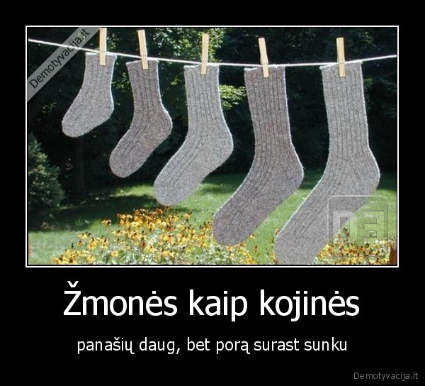 Žmonės kaip kojinės