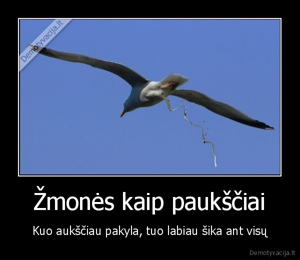 Žmonės kaip paukščiai