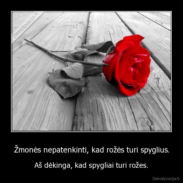 Žmonės nepatenkinti, kad rožės turi spyglius.