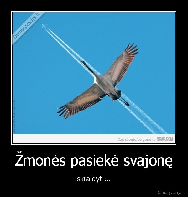 Žmonės pasiekė svajonę
