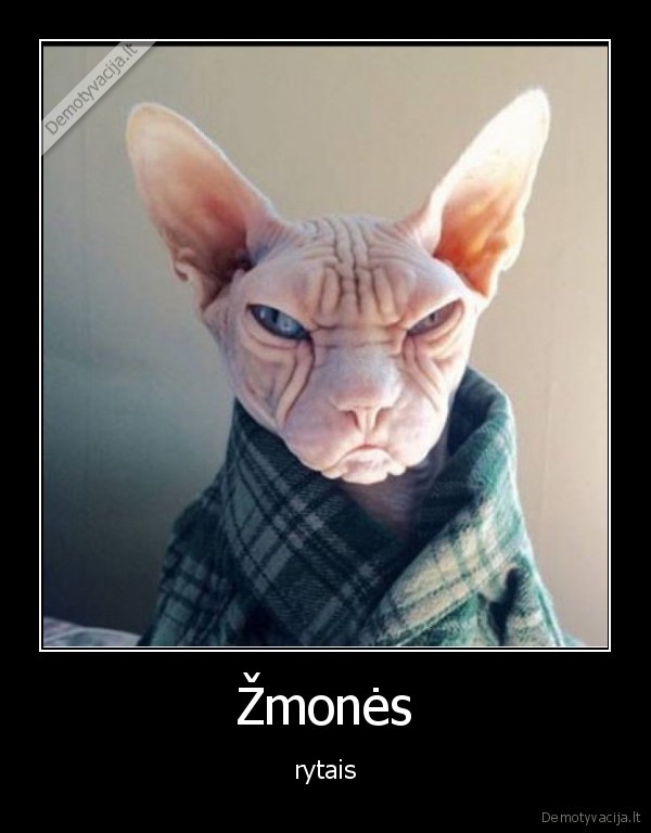 rytas,zmones