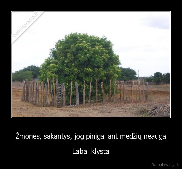 pinigu, medis,zmones, klysta