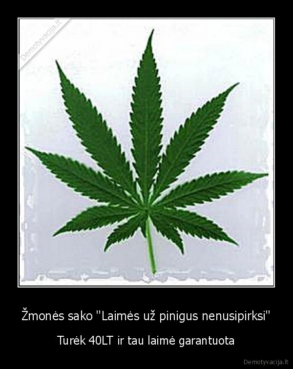 narkotikai,prikolas,one,kanape,kanape,zole,dumas,dumas
