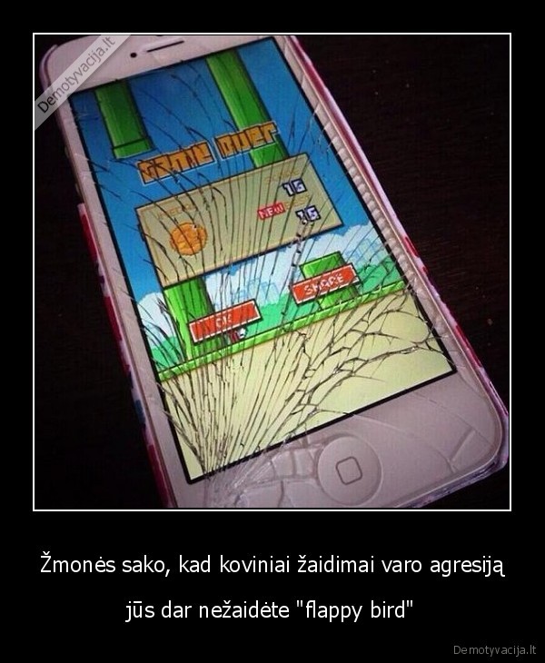 Žmonės sako, kad koviniai žaidimai varo agresiją