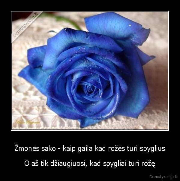 roze,spygliai