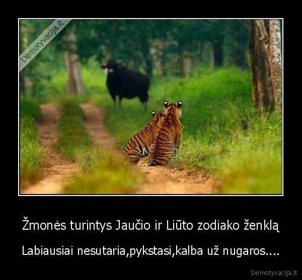 Žmonės turintys Jaučio ir Liūto zodiako ženklą