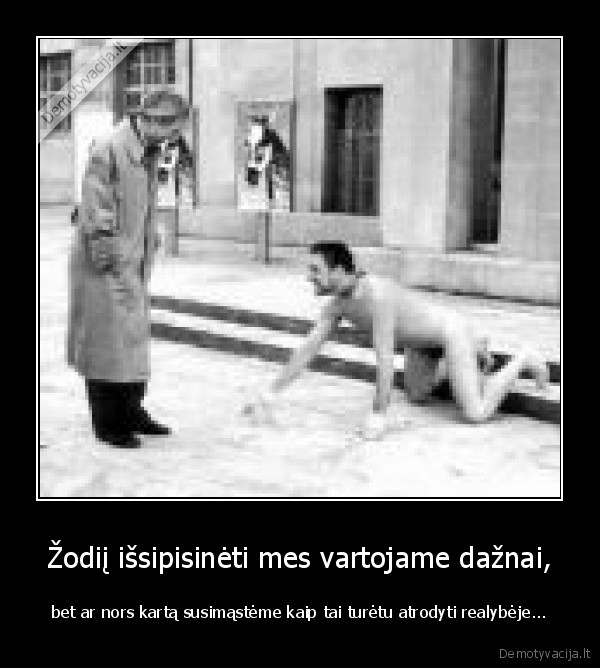 issipisineti,realybe
