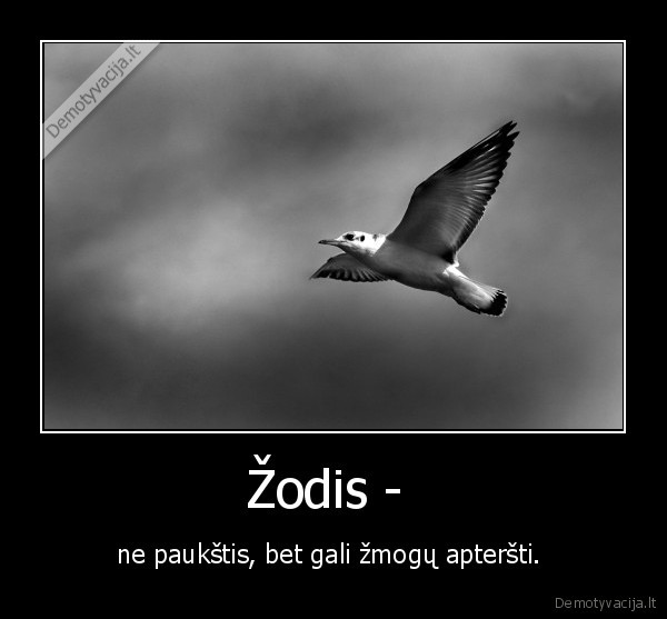 paukstis,liudesys