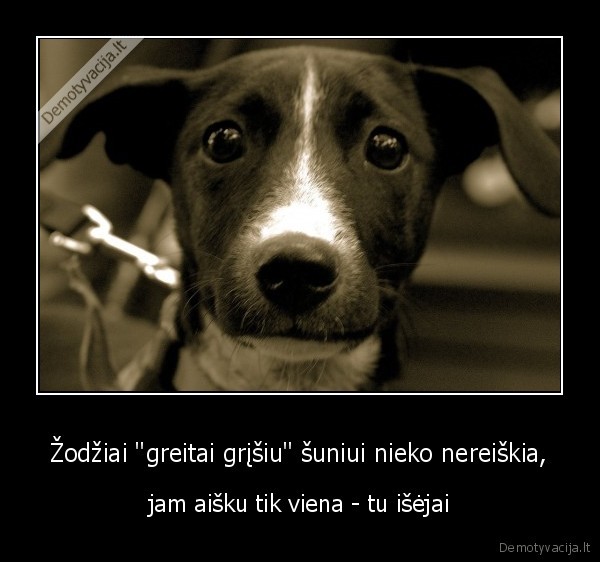 sunys,draugyste,atsidavimas