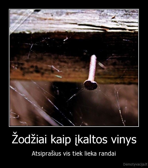 Žodžiai kaip įkaltos vinys