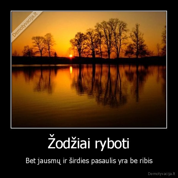 Žodžiai ryboti