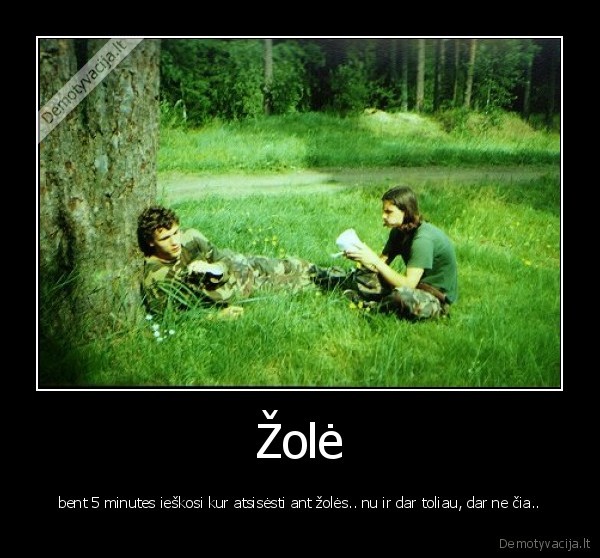 Žolė