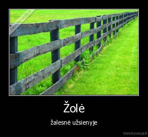 Žolė