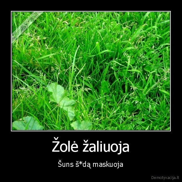 zole