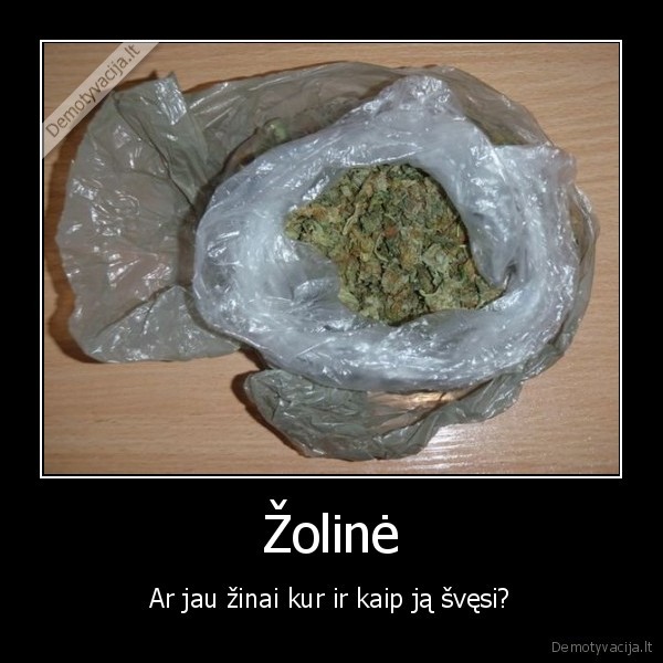 Žolinė