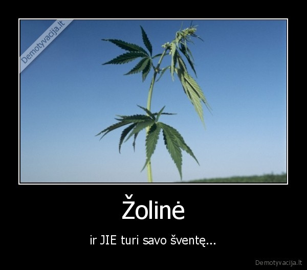 Žolinė