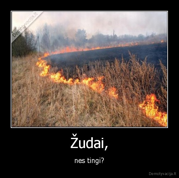 zoles, deginimo, zala, gyvajai, gamtai