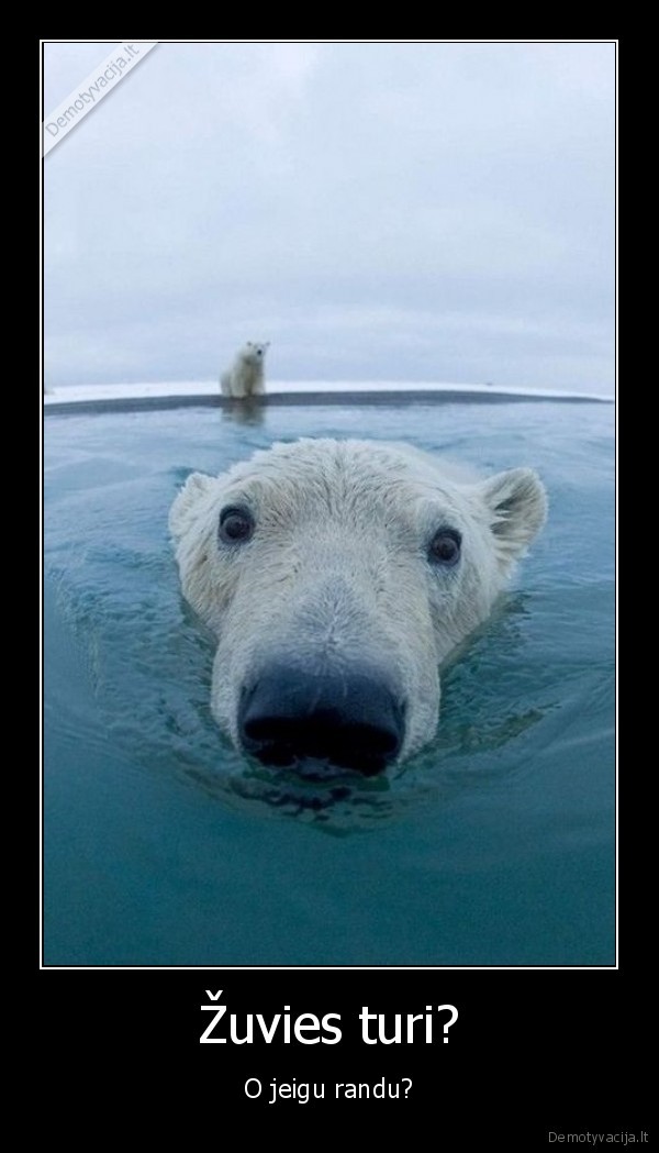 hana, tau, fotografas