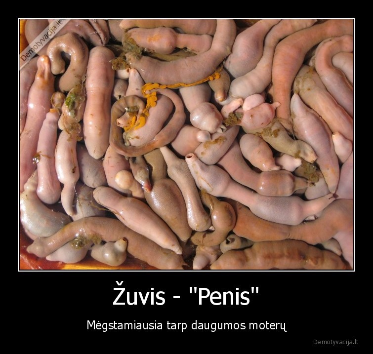 Žuvis - &quot;Penis&quot;