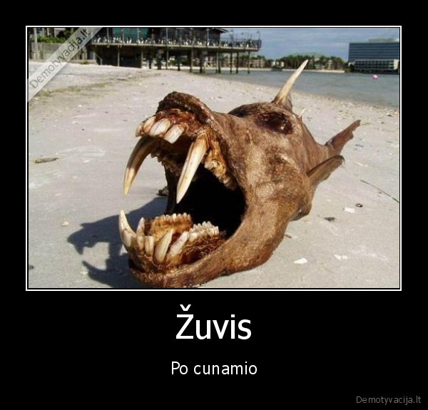 Žuvis