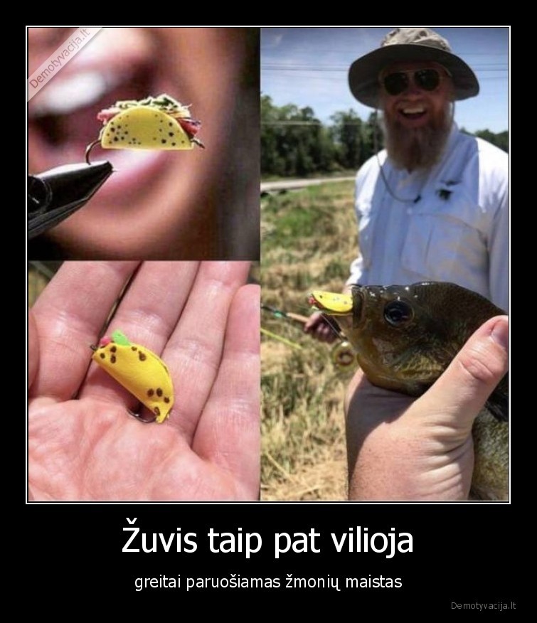 zuvis,vilioja,greitai, paruosiamas, maistas,masalas