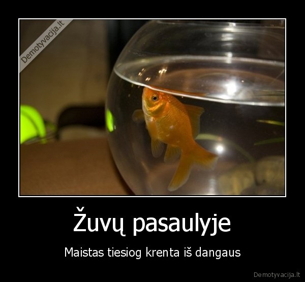 Žuvų pasaulyje