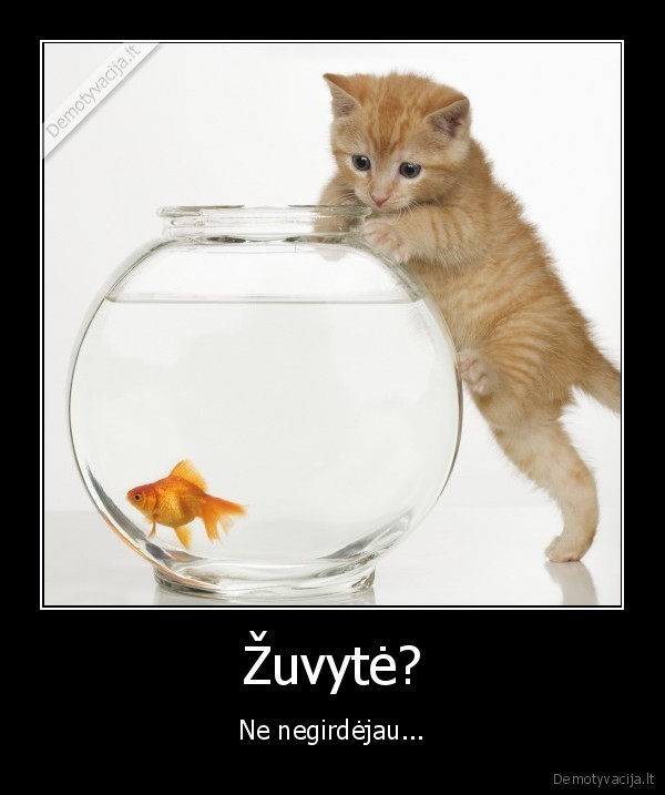 Žuvytė?