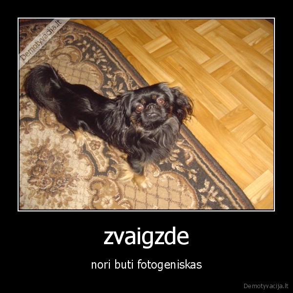 zvaigzde