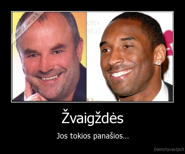 Žvaigždės