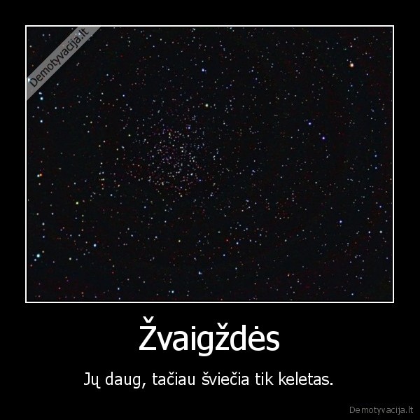 zvaigzdes, dangus, holivudas, durni, aktoriai