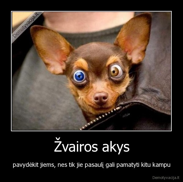 akys