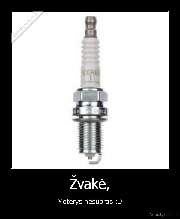 Žvakė,