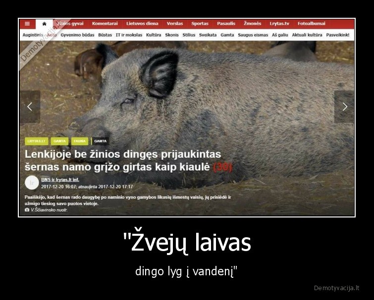 kiaule,sernas,alkoholis,zvejai,laivas,vanduo