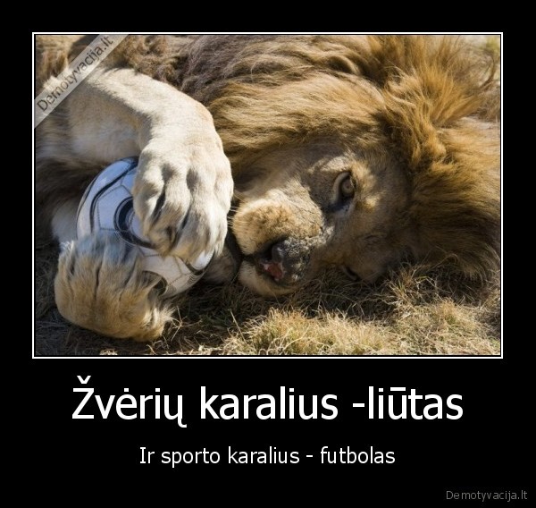 football,rules