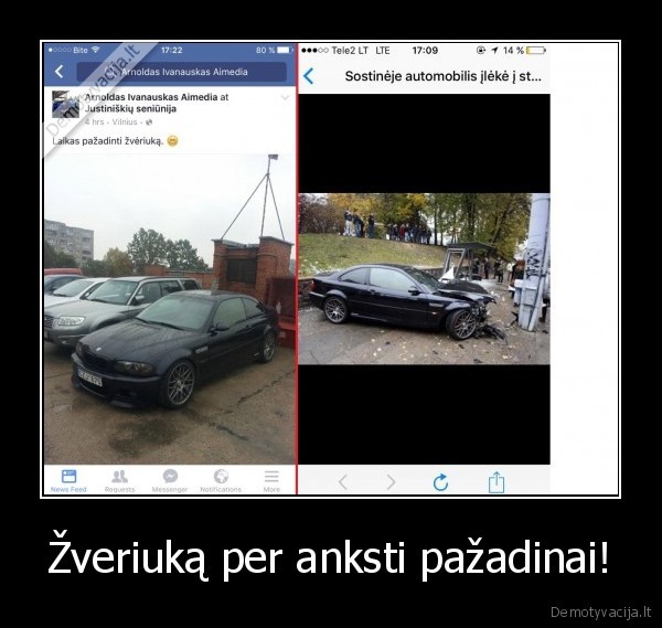 Žveriuką per anksti pažadinai!