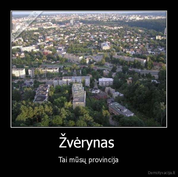 zverynas, pats, geriausias