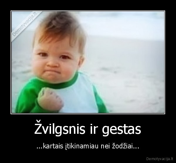 Žvilgsnis ir gestas