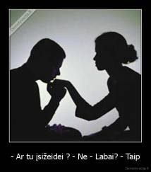 - Ar tu įsižeidei ? - Ne - Labai? - Taip - 
