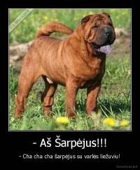 - Aš Šarpėjus!!! - - Cha cha cha šarpėjus su varlės liežuviu!