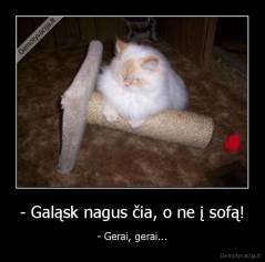 - Galąsk nagus čia, o ne į sofą! - - Gerai, gerai...