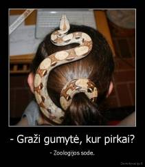 - Graži gumytė, kur pirkai? - - Zoologijos sode.