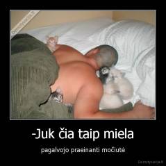 -Juk čia taip miela - pagalvojo praeinanti močiutė