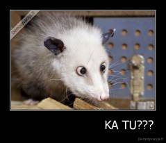                          KA TU??? - 
