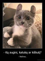 - Ką augini, katuką ar kiškutį? - - Nežinau.